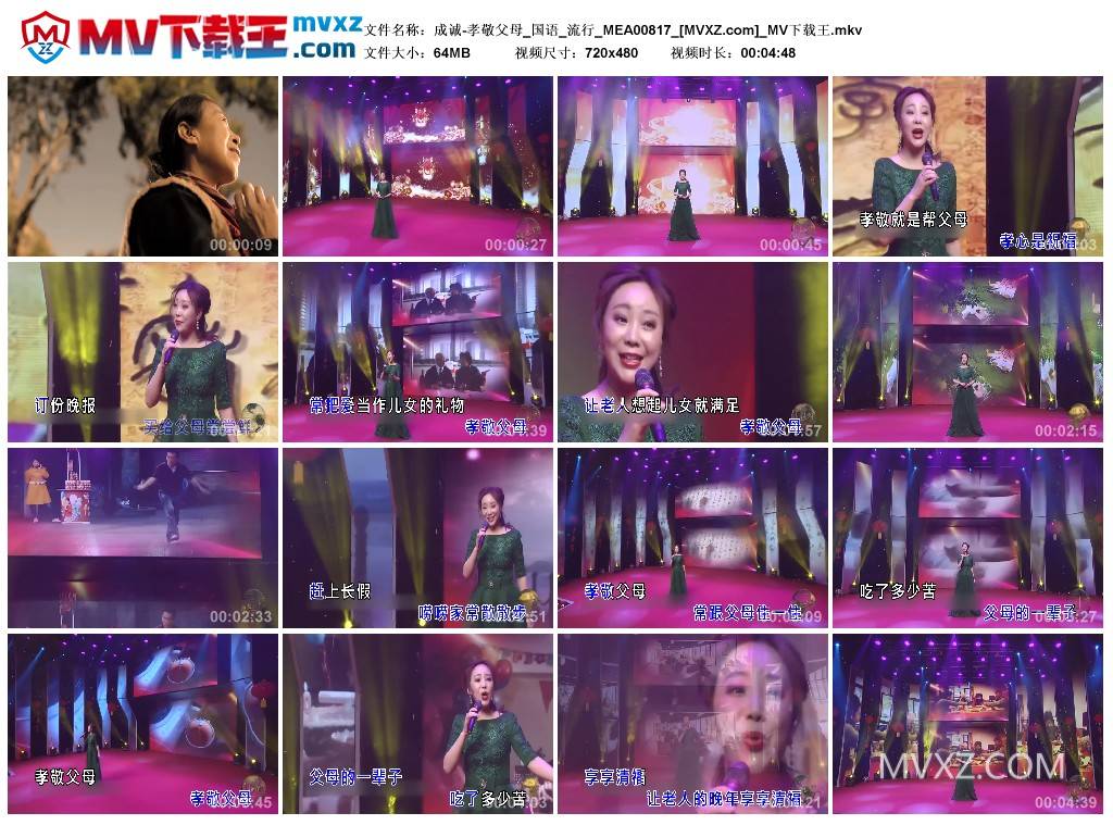 成诚-孝敬父母_国语_流行_MEA00817